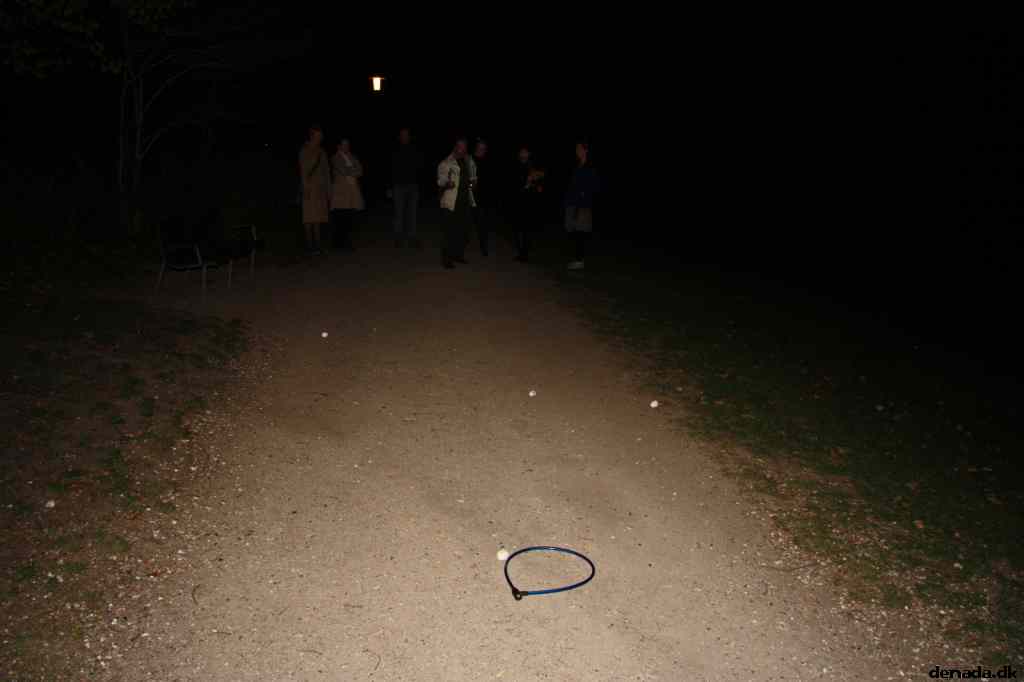 * Image 50