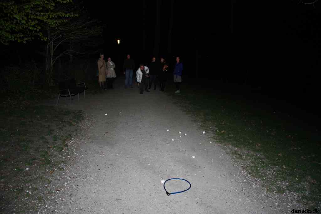 * Image 51