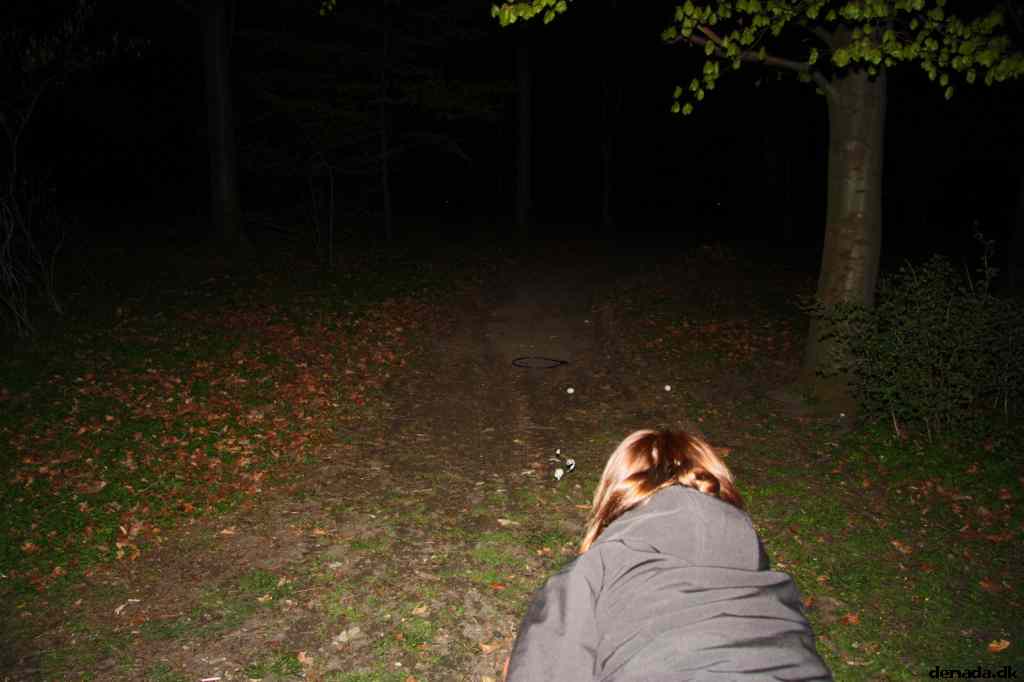 * Image 55