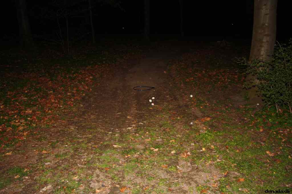 * Image 56