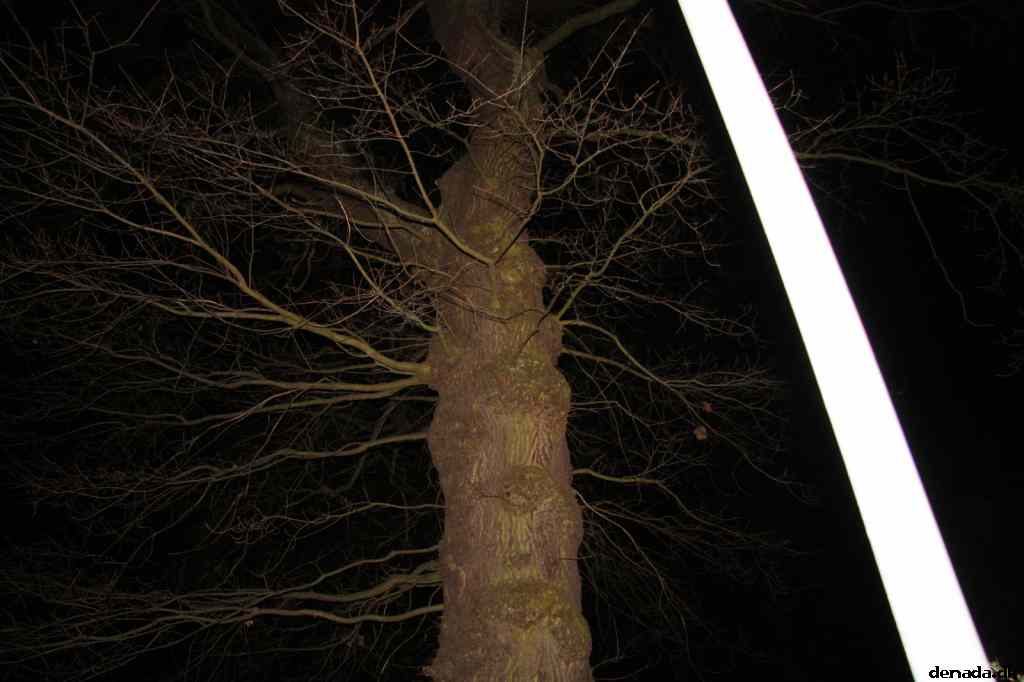 * Image 70
