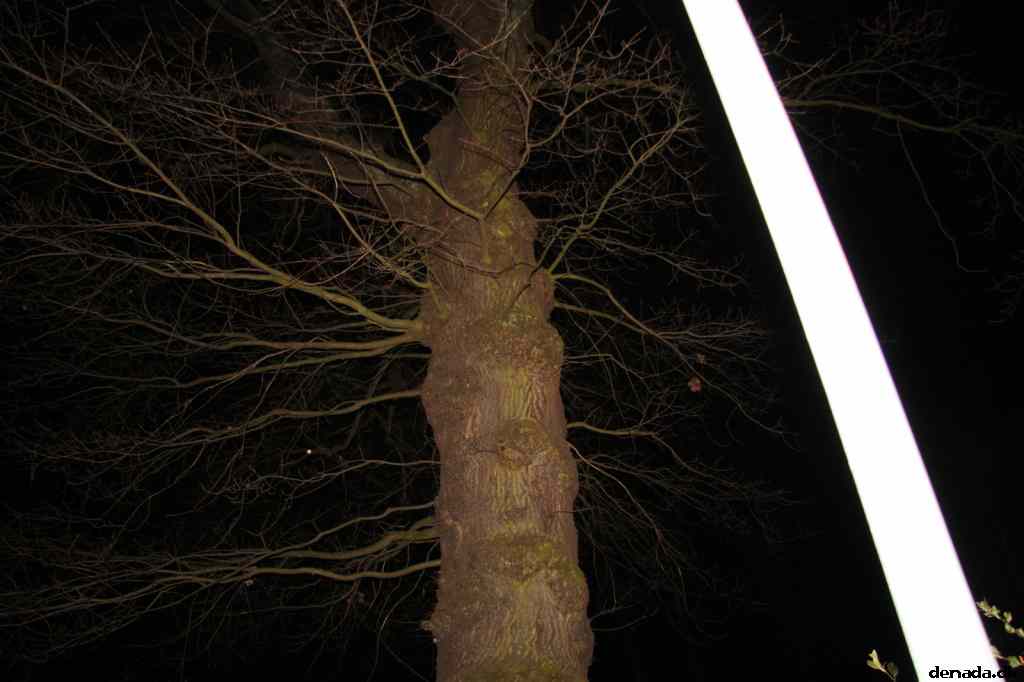 * Image 71