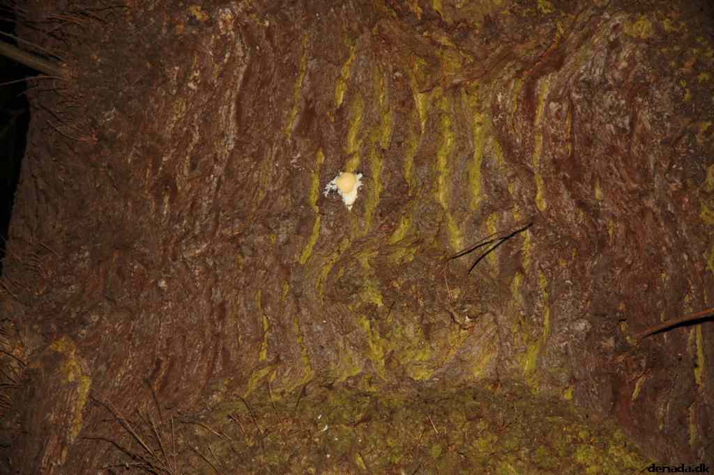 * Image 73