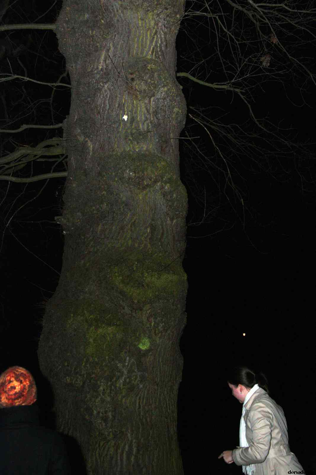 * Image 72