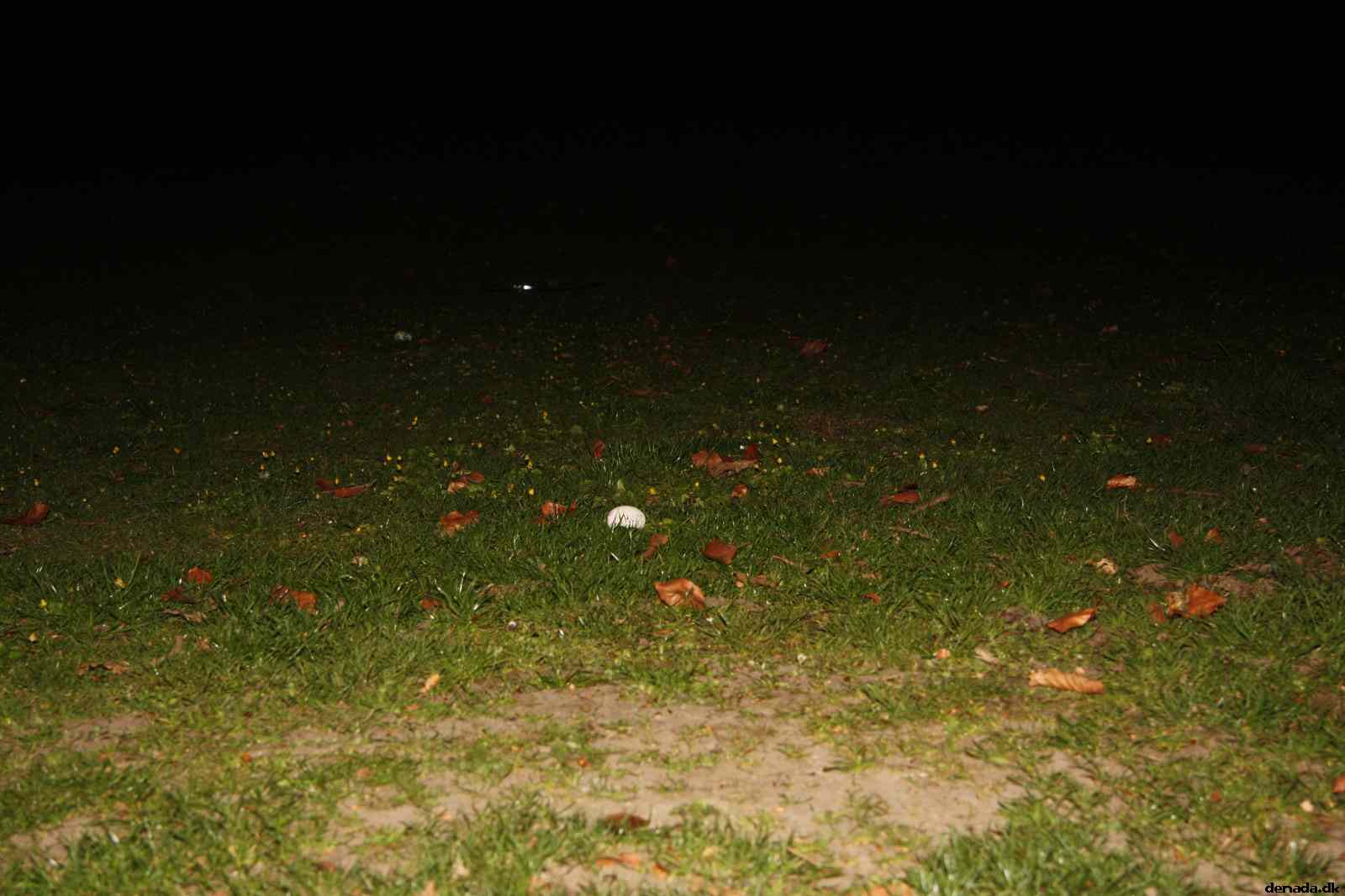 * Image 38