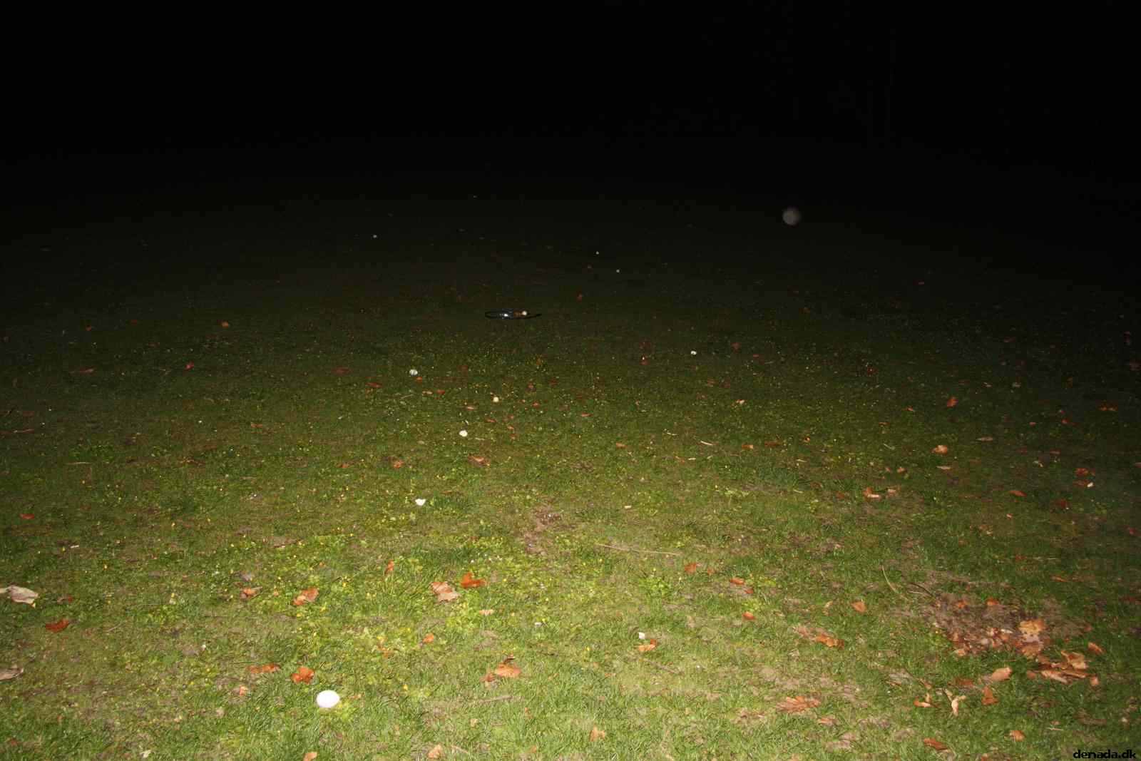 * Image 40