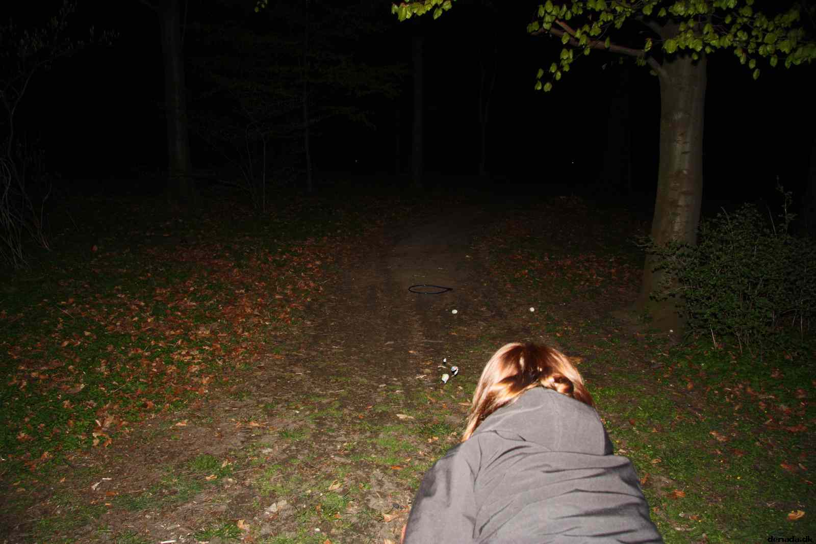 * Image 55