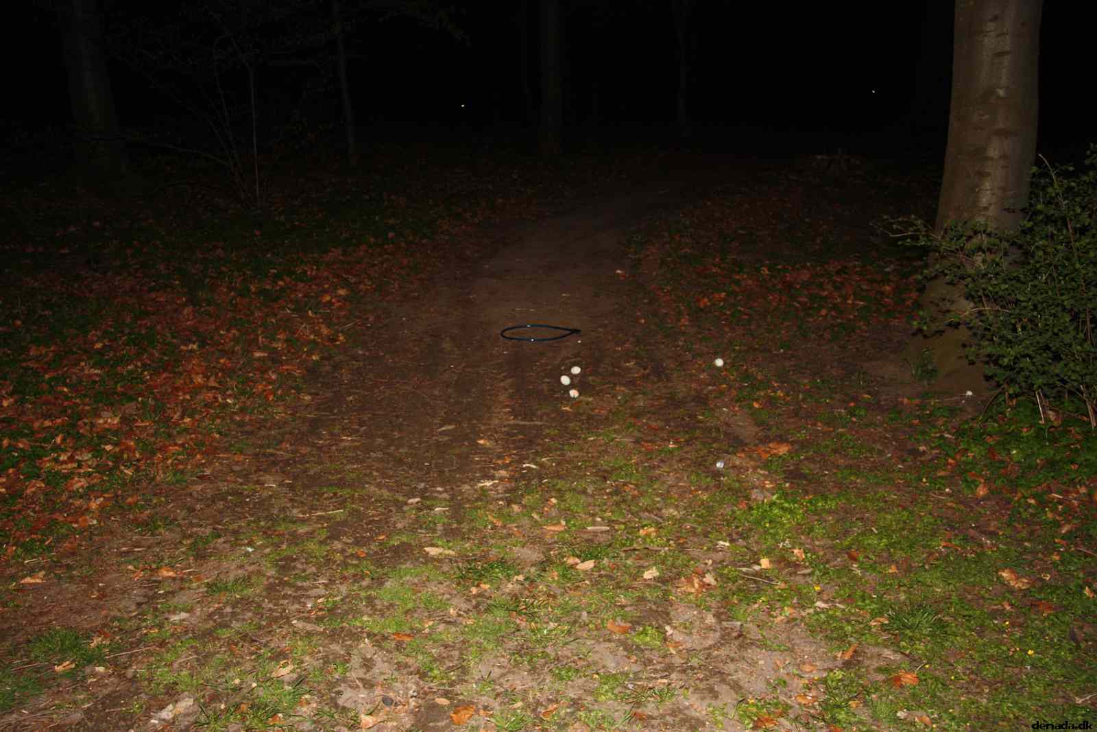 * Image 56