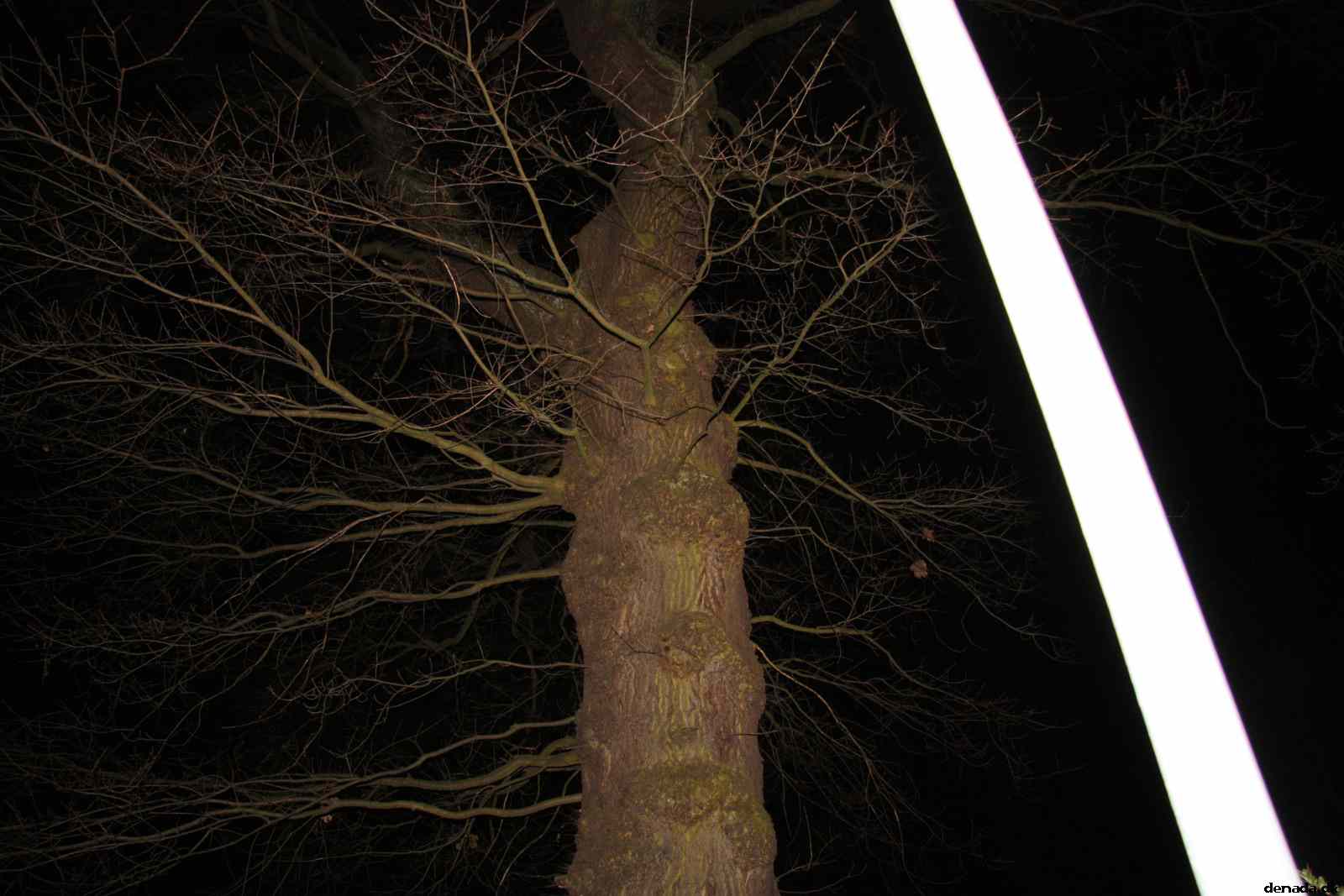 * Image 70