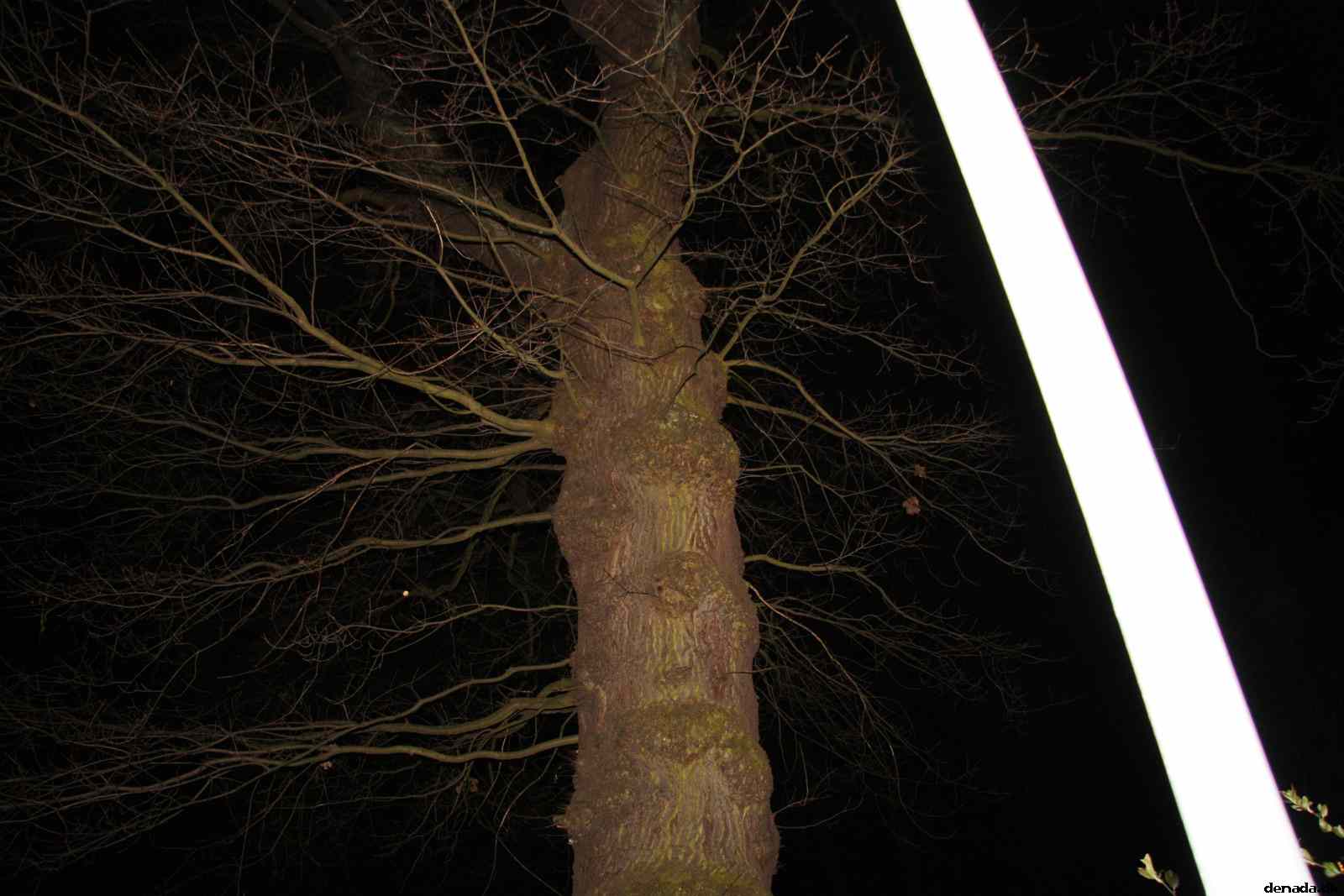 * Image 71