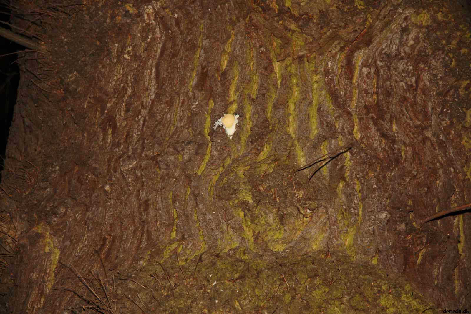 * Image 73