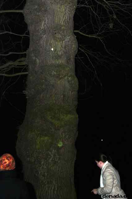 * Image 72