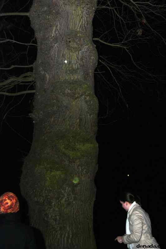 * Image 72