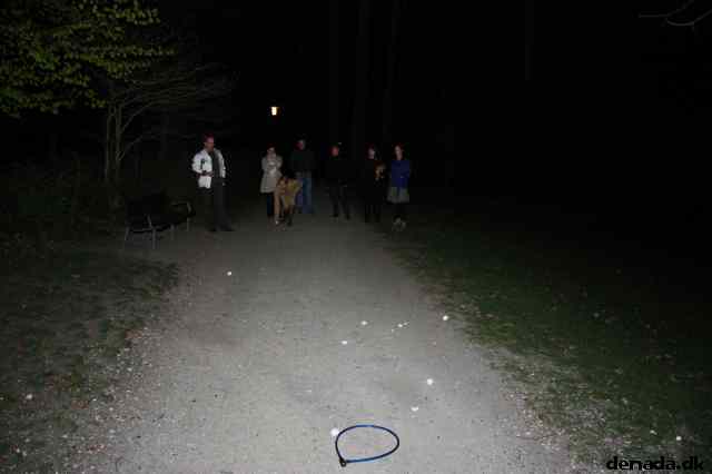 * Image 52