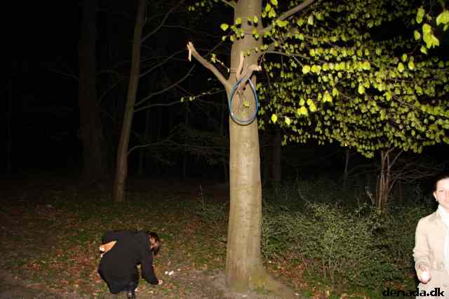 * Image 68