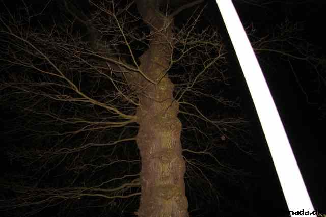 * Image 70