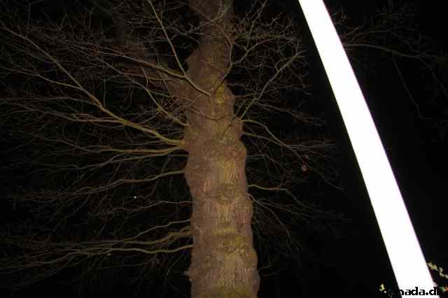 * Image 71