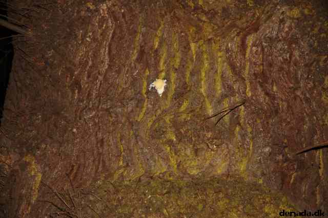 * Image 73