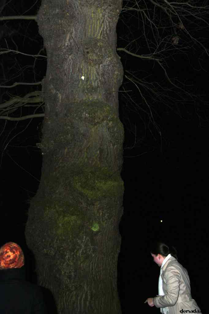 * Image 72