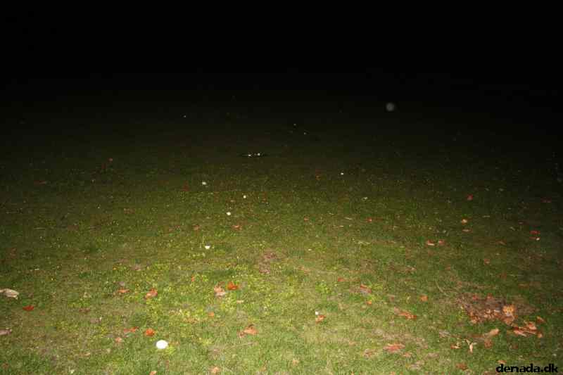 * Image 40