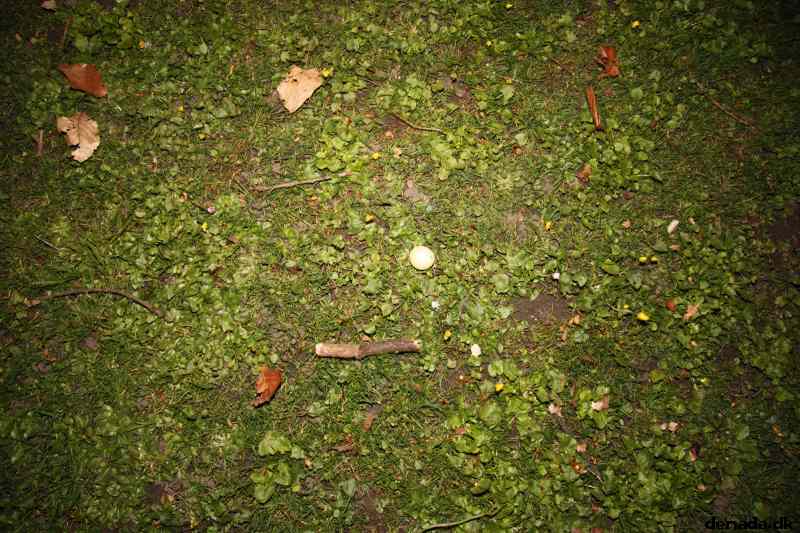 * Image 43