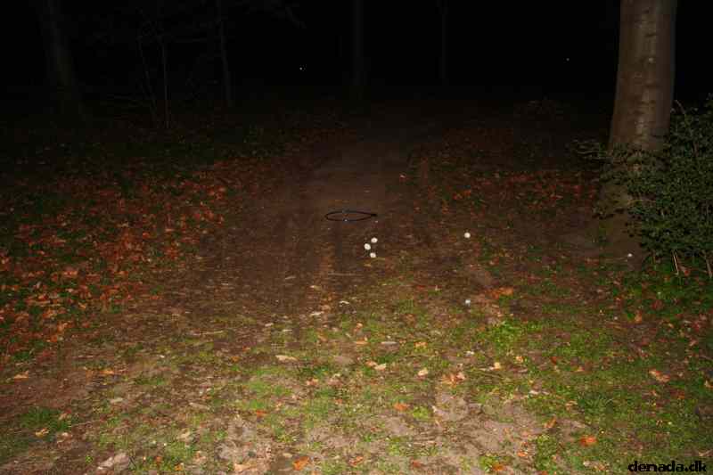 * Image 56