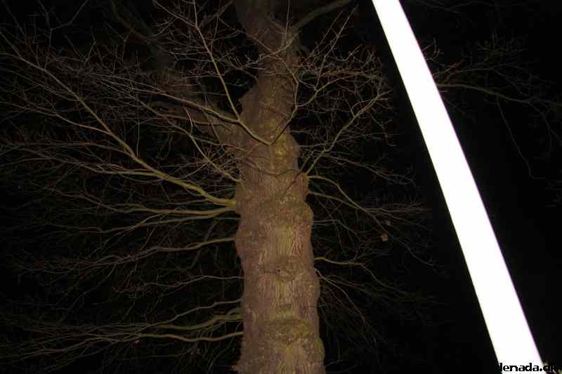 * Image 70