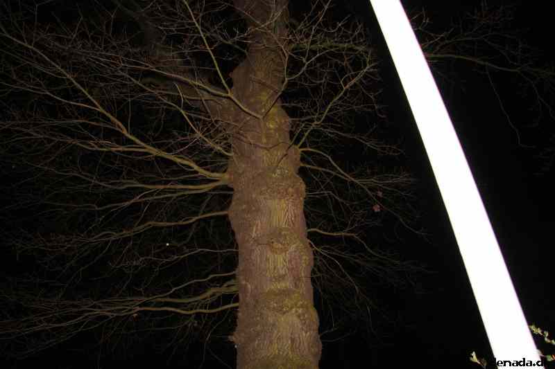 * Image 71