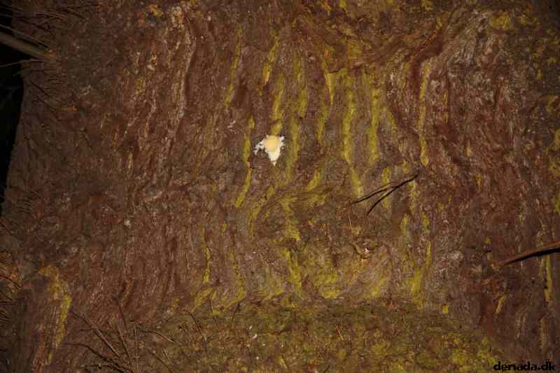 * Image 73