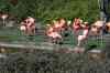 IMG_8247m.jpg - 2009:04:19 13:37:44