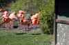 IMG_8250m.jpg - 2009:04:19 13:38:20