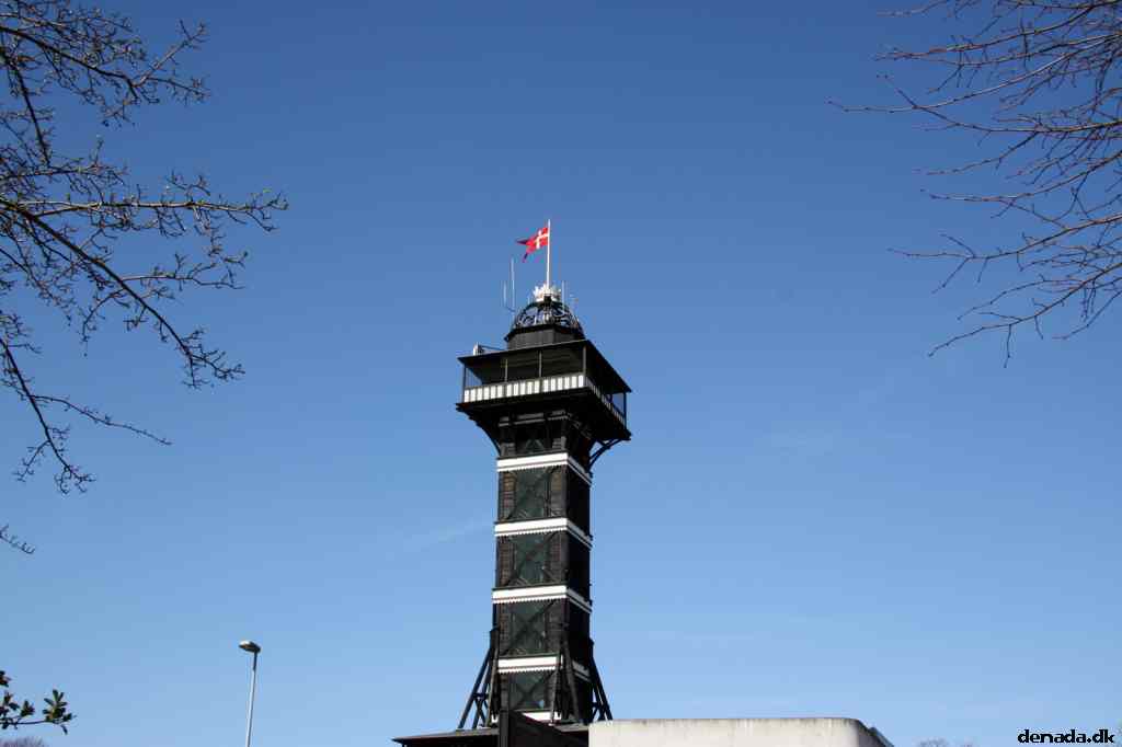 * Image 13