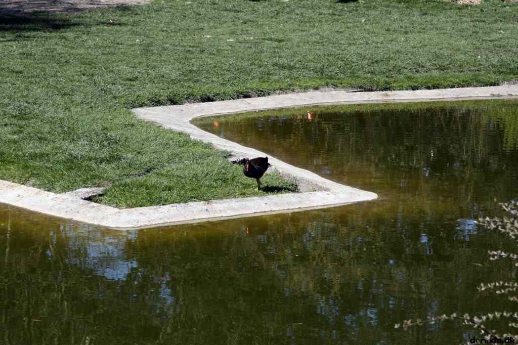 * Image 17