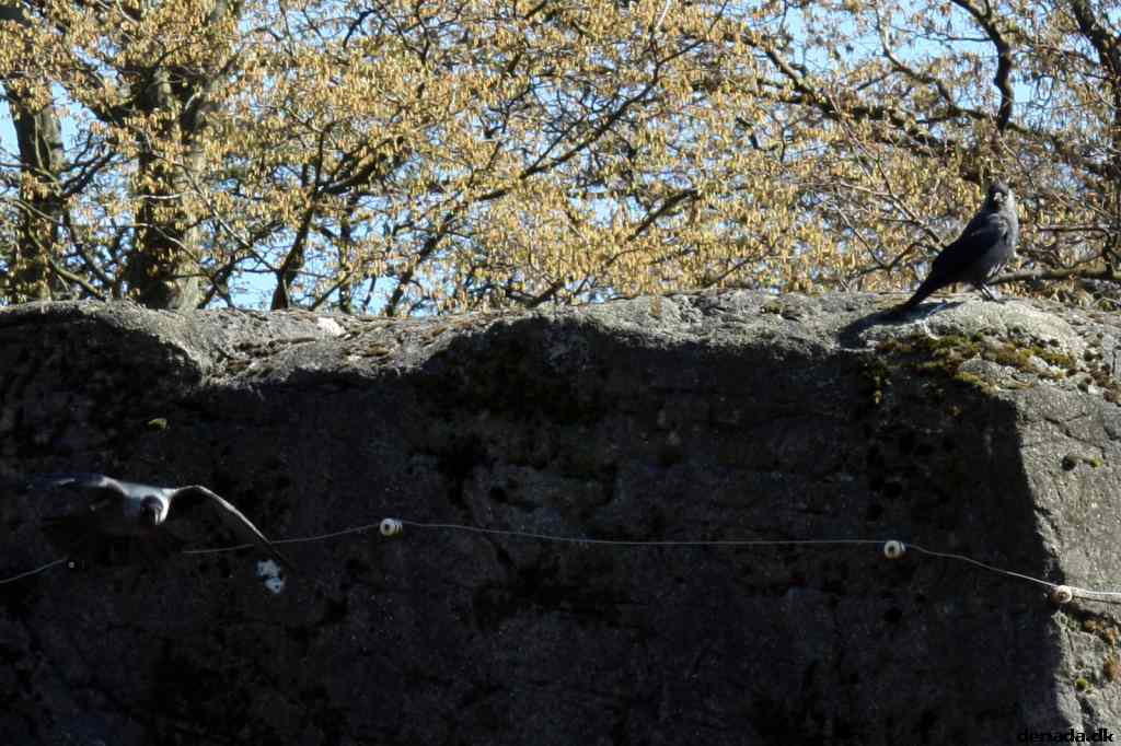 * Image 45