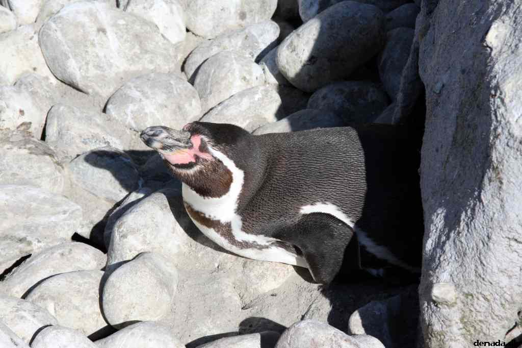 * Image 58