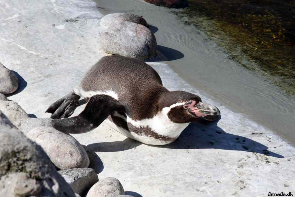 * Image 60