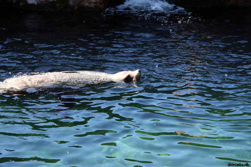 * Image 65