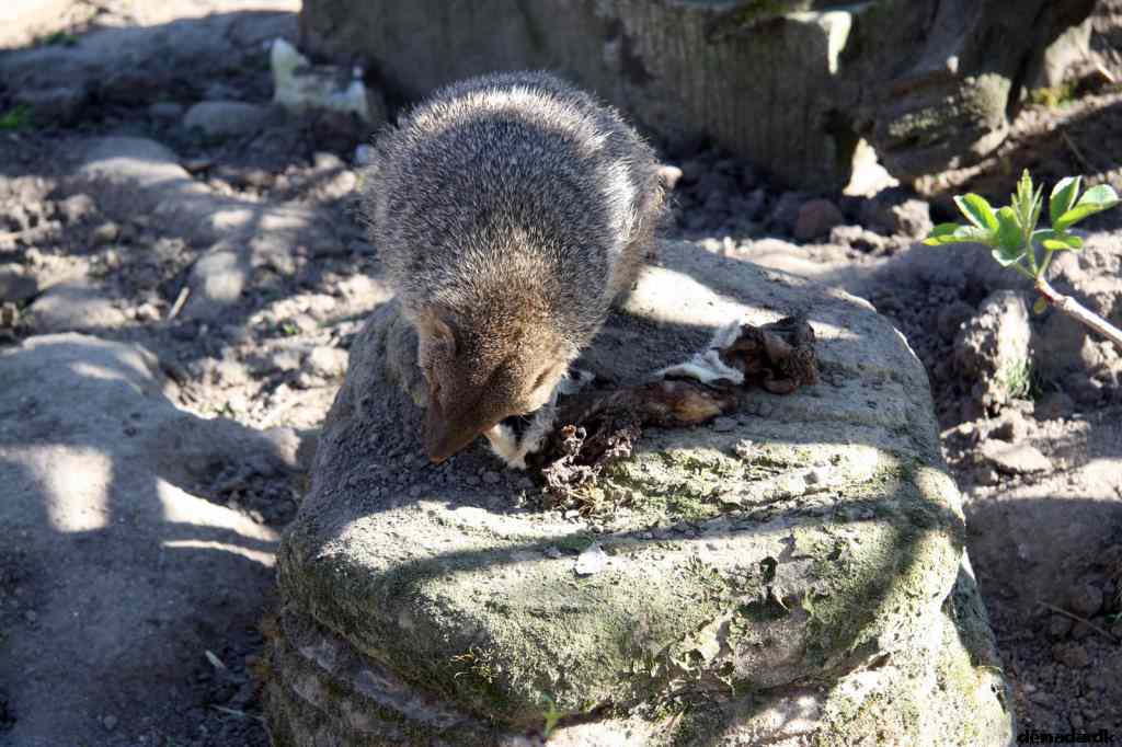 * Image 196