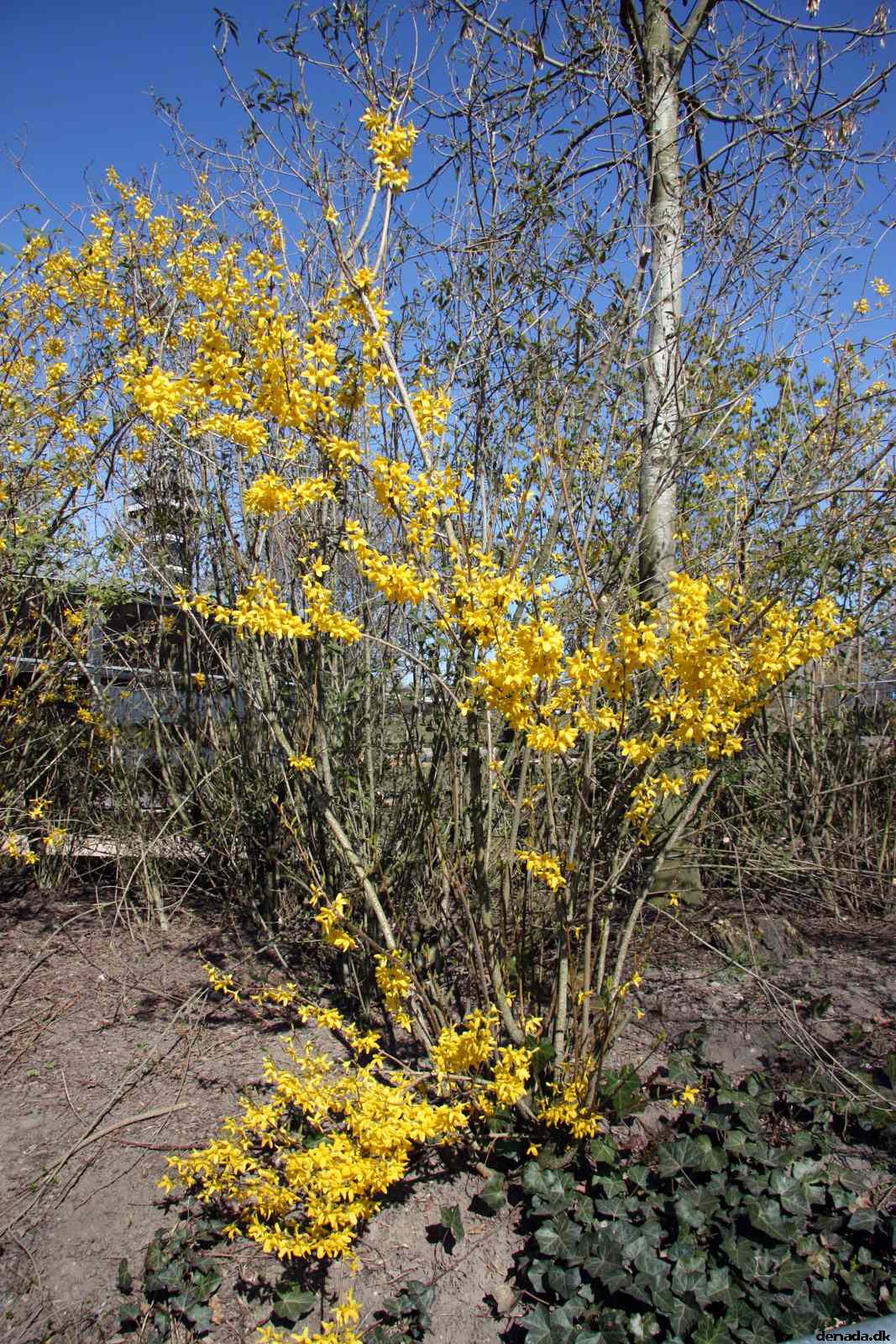 * Image 151