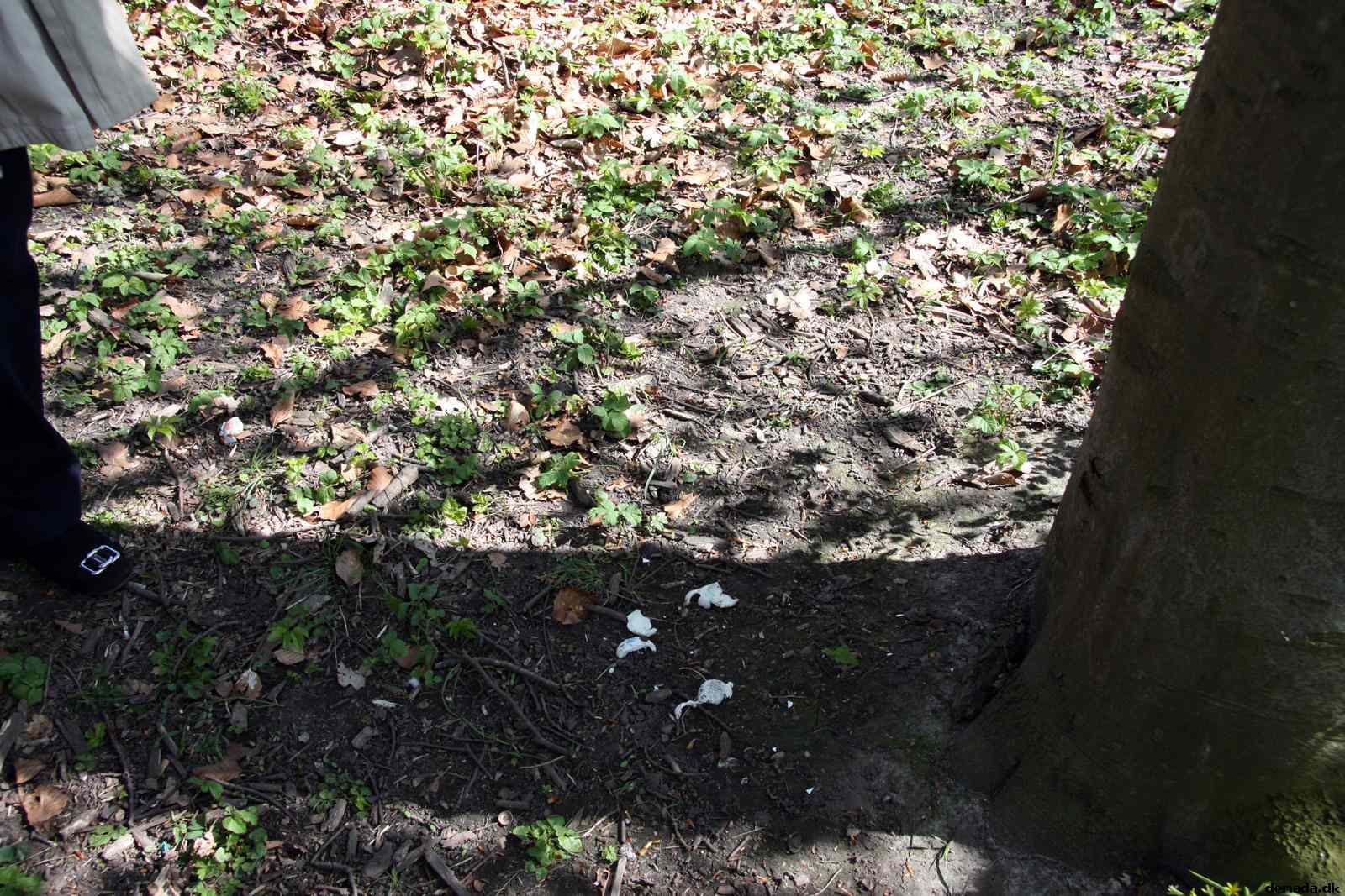 * Image 9