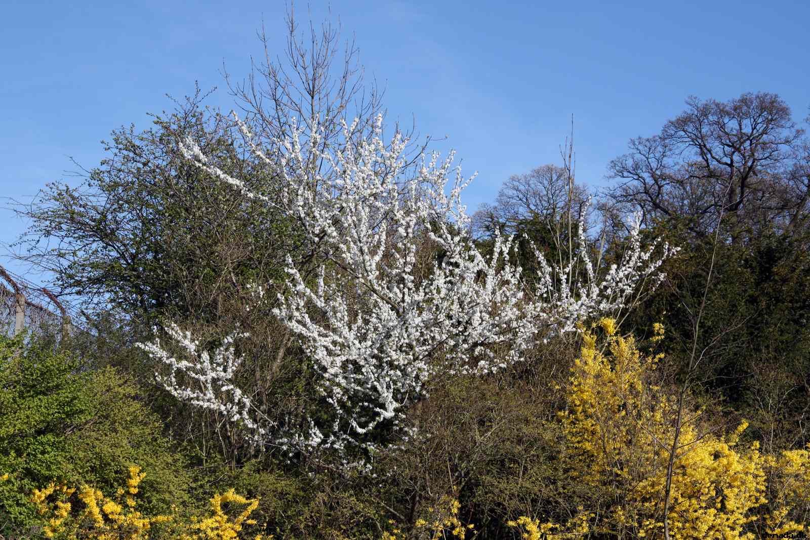 * Image 218