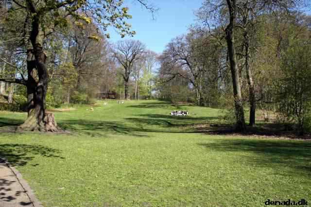 * Image 4