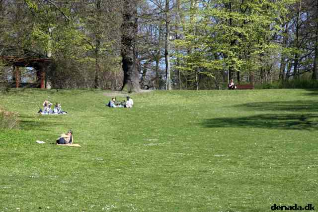 * Image 6
