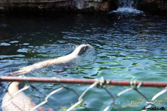 * Image 63