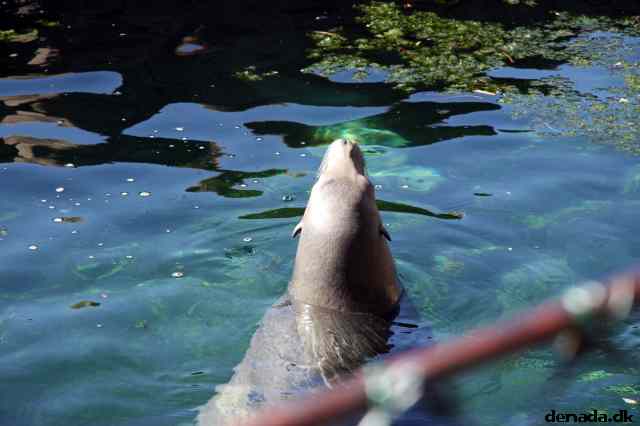 * Image 76