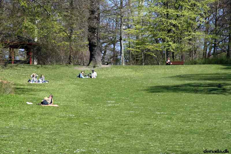 * Image 6