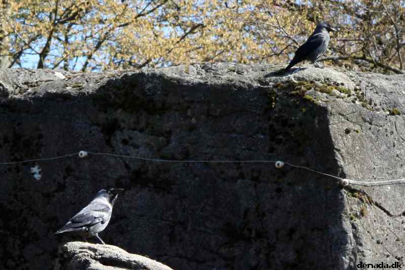 * Image 46