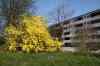 IMG_8576m.jpg - 2009:04:23 13:04:36