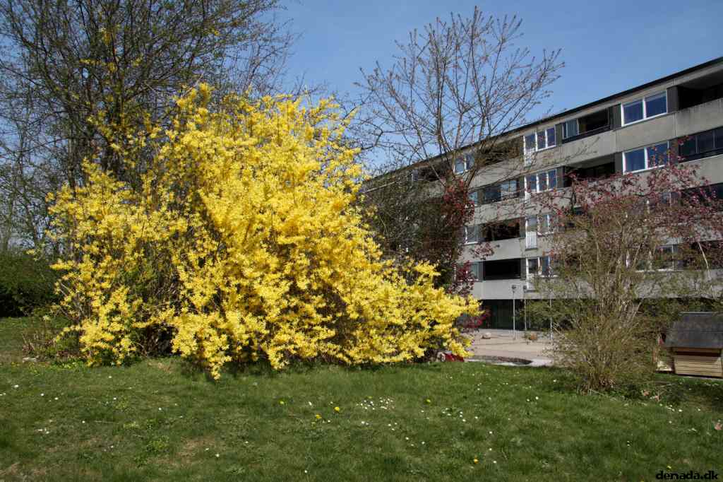 * Image 25