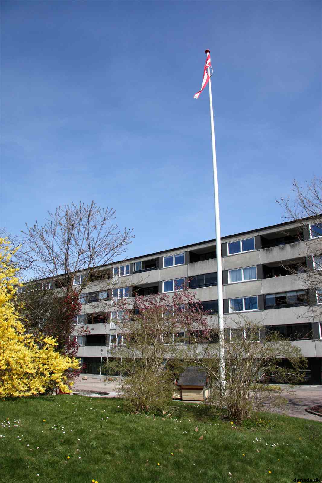 * Image 29